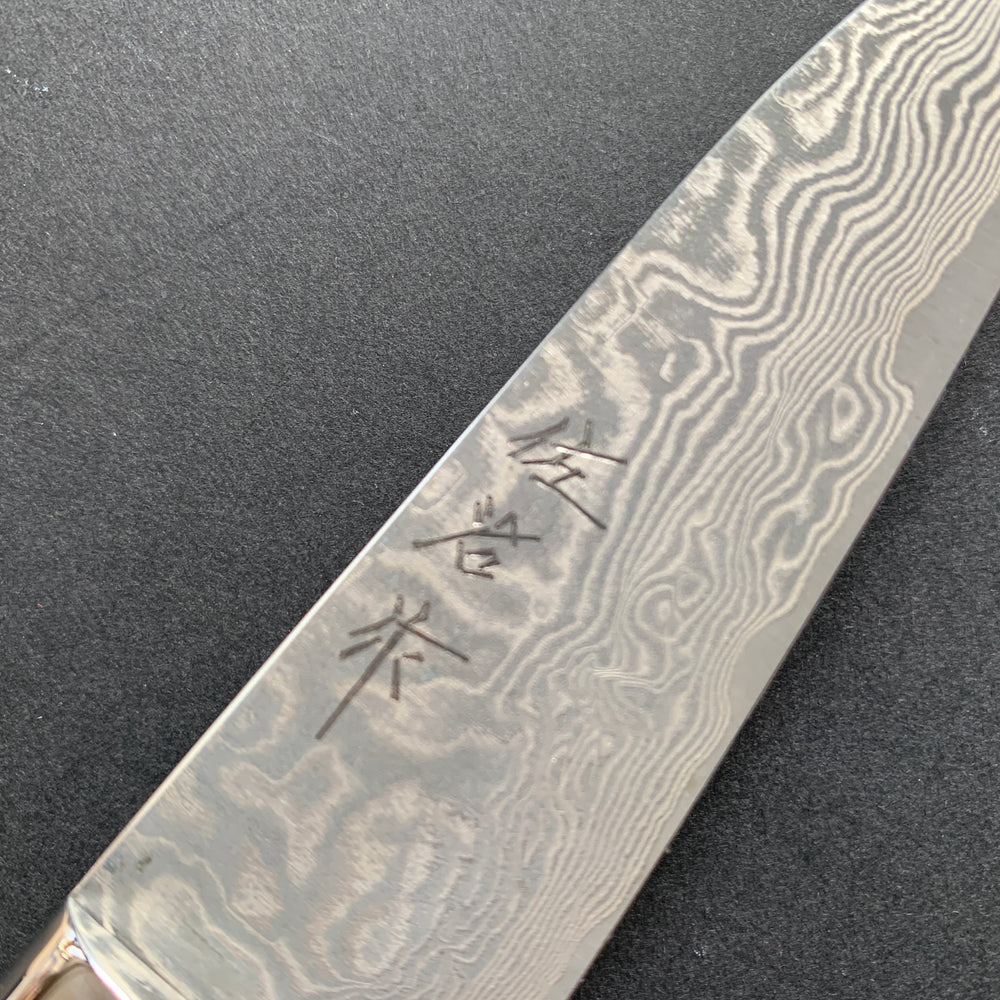 Petty knife, SG2 stainless steel, etched Damascus finish, jigged bone handle - Saji