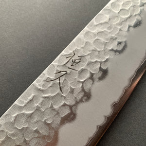 Gyuto knife, Aogami Super with stainless steel cladding, Tsuchime finish - Tsunehisa