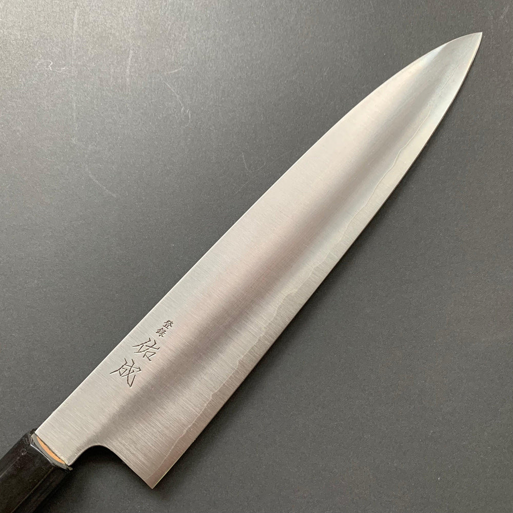 Gyuto knife, SG2 powder steel, migaki finish - Sukenari - Kitchen Provisions