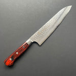 Gyuto knife, VG10 stainless steel, Damascus Tsuchime finish - Sakai Takayuki